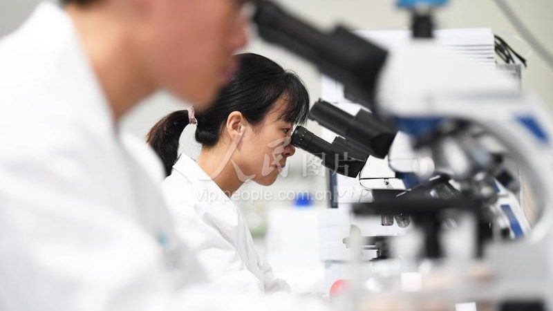 CDMO项目报价周期：揭秘从询价到报价的流程**