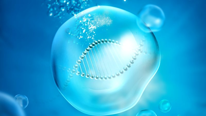 DNA连接酶：生命科学研究的“粘合剂”**