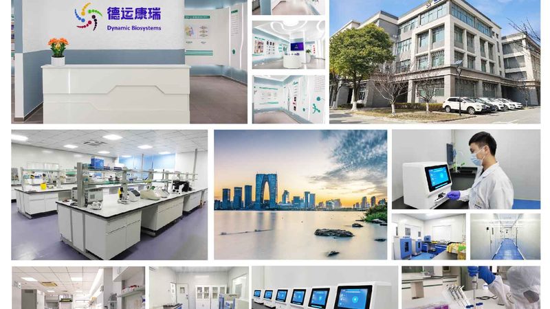 D细胞培养：揭秘上海优质服务提供商**