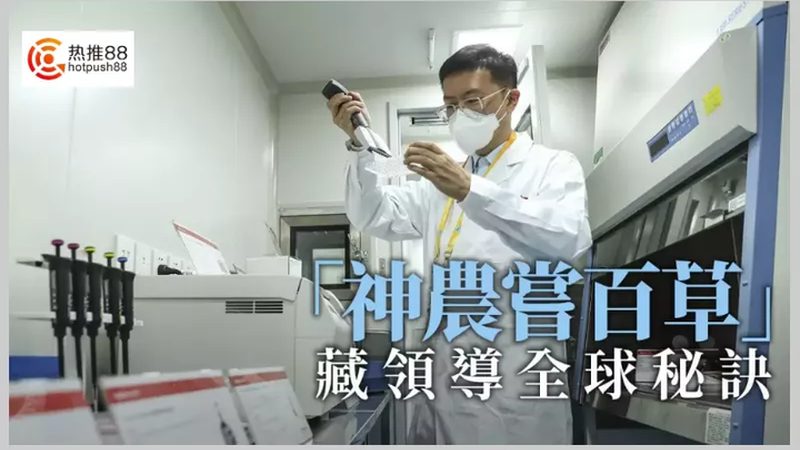细胞工厂层数的选择：揭秘高效生产的秘密