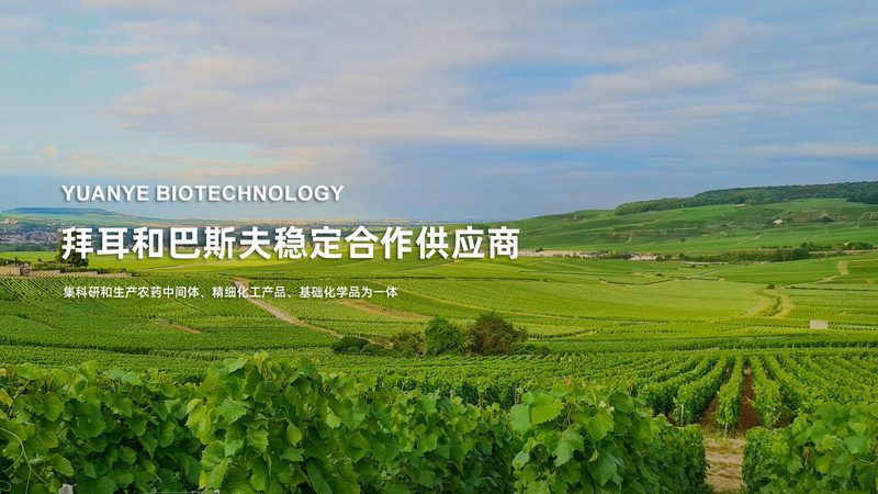 细胞基因治疗外包：揭秘背后的技术奥秘与选择要点**