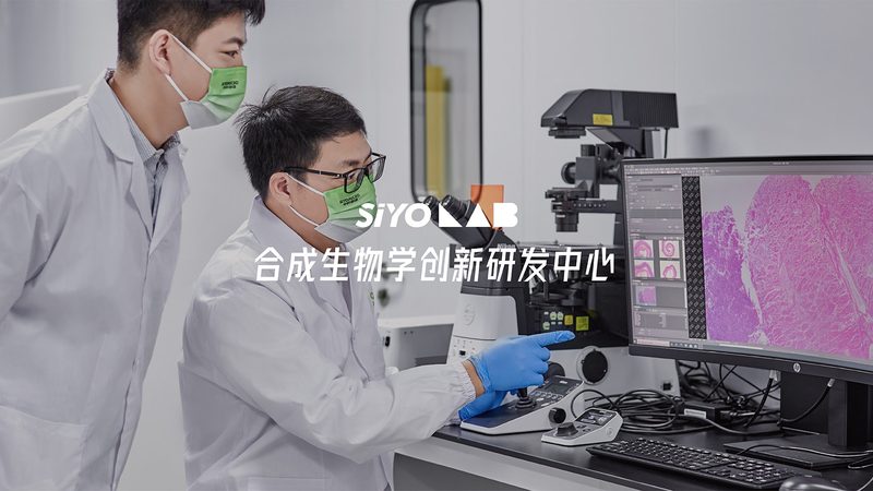微量移液器：精准之选，价格几何？**