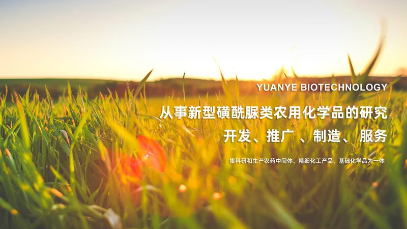 广州生物科技公司如何选择？关键在于技术实力与合规标准**
