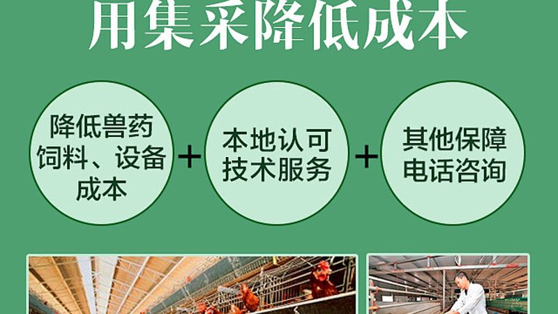 Protein A亲和层析柱：揭秘其选择背后的关键因素