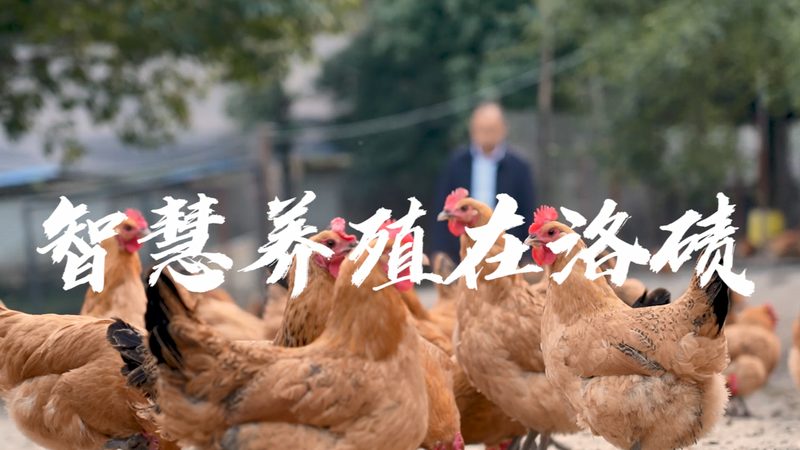 荧光定量PCR试剂盒：精准检测，守护健康防线