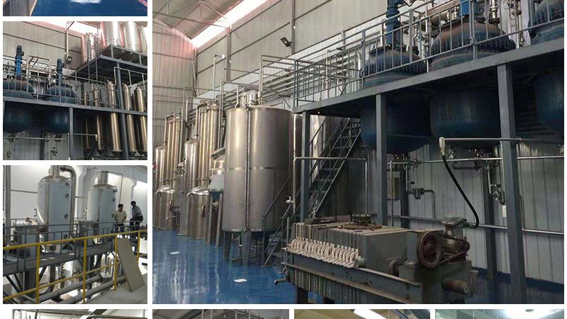 耐高温酶：生物科技中的“耐热金刚”**