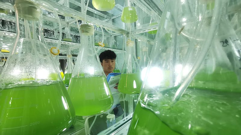 生物药CDMO哪家靠谱